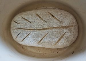 proved bread dough ready to cook in a cast iron pot