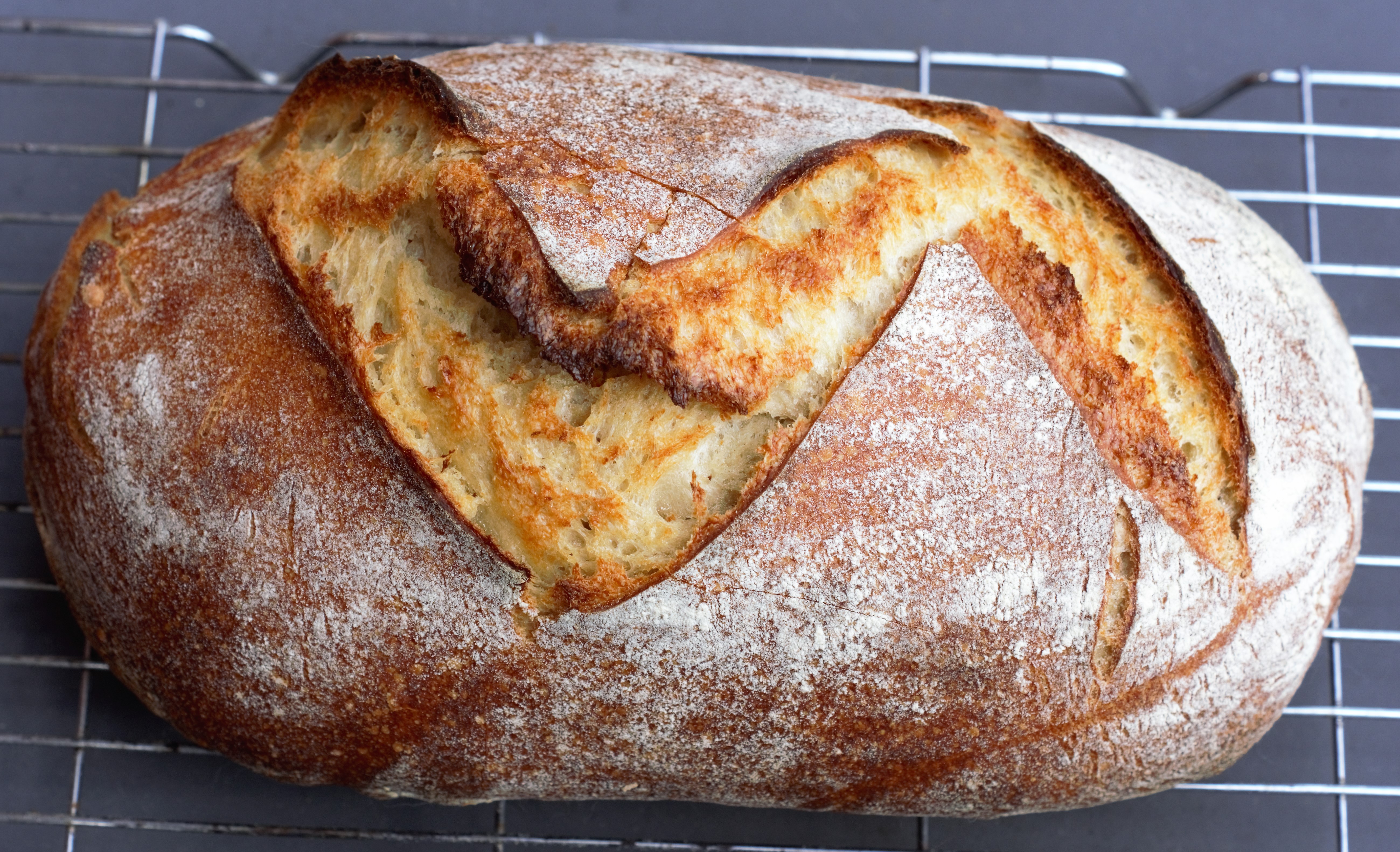 No-Knead Sourdough Bread — Under A Tin Roof