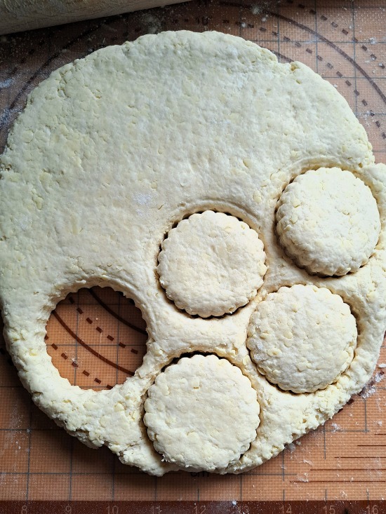 rolling and cutting out Very Cheesy Cheese Scones