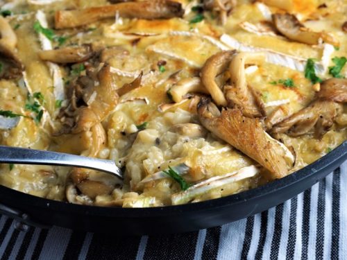 Creamy Mushroom Risotto Moorlands Eater Recipes