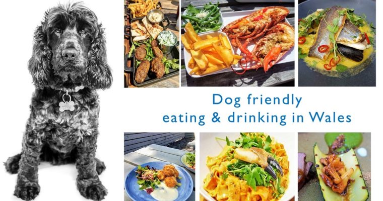 Dog Friendly Eating & Drinking in Wales