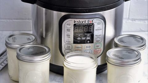 Yogurt instant pot temperature hot sale