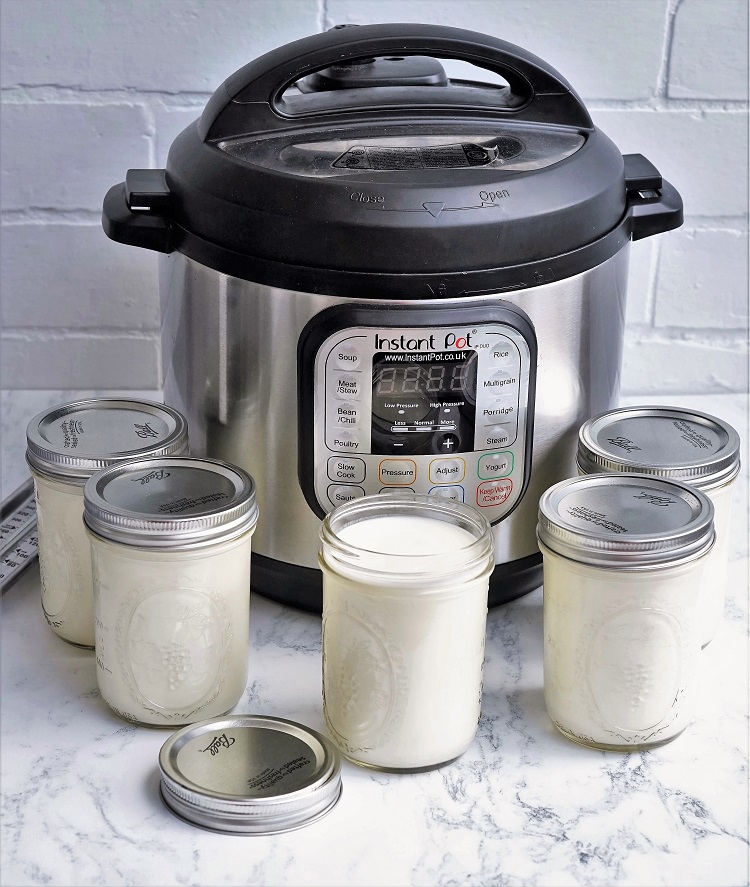 Homemade Yogurt Recipe, Part II: The Instant Pot - Building Our Rez