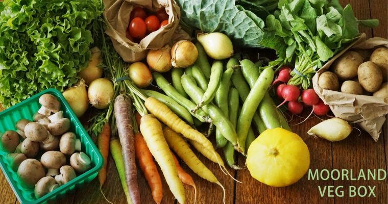 Moorland Veg Box: organic fruit & veg delivery