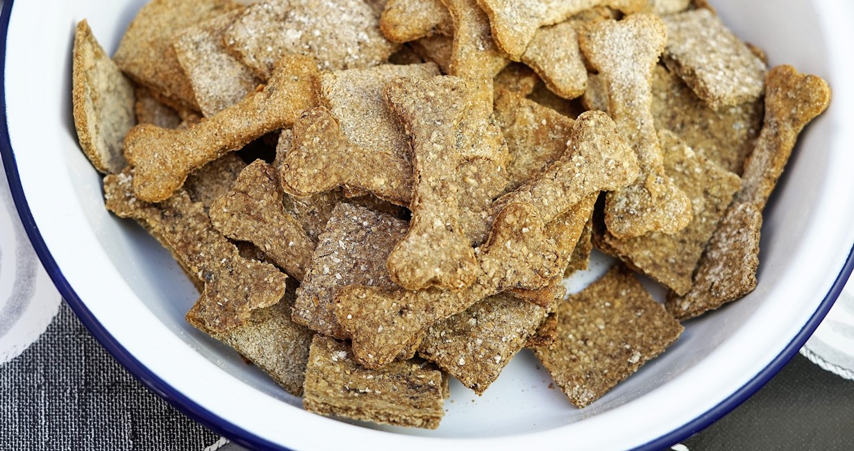 Dash Express Dog Treat Maker that bakes homemade dog treats