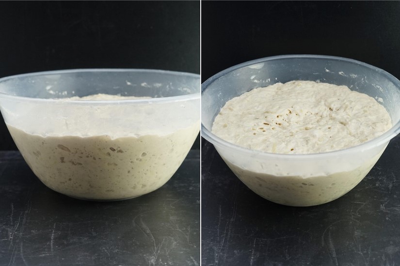 risen potato focaccia dough