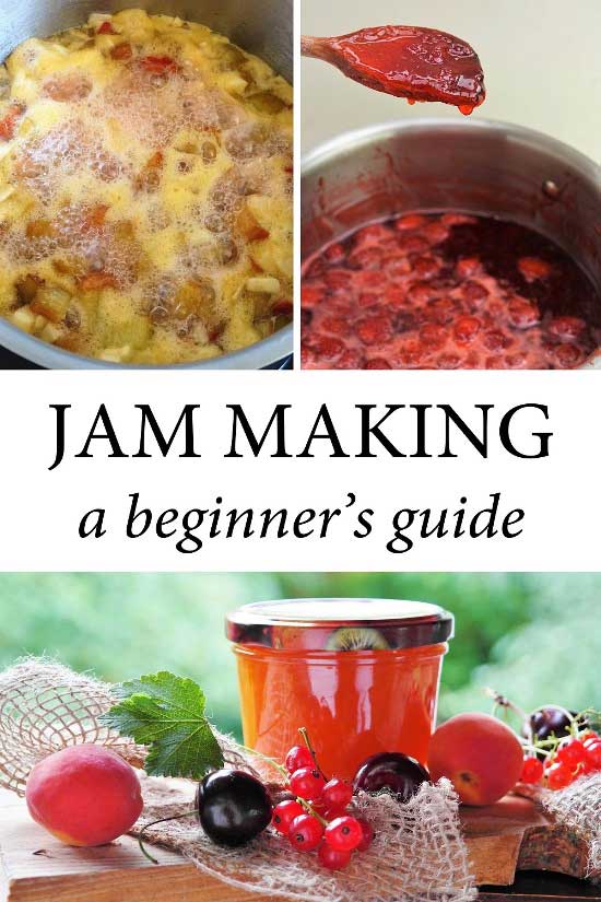 jam making a beginner's guide