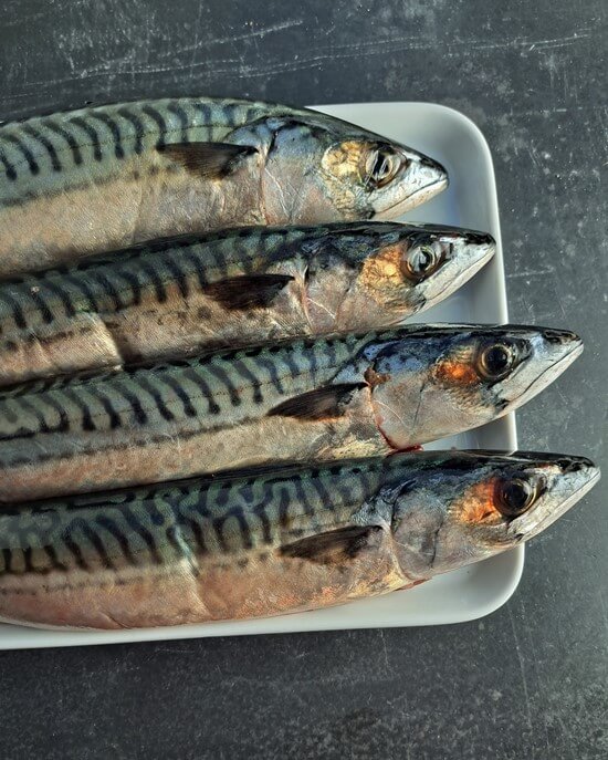 Northumberland seafood: mackerel