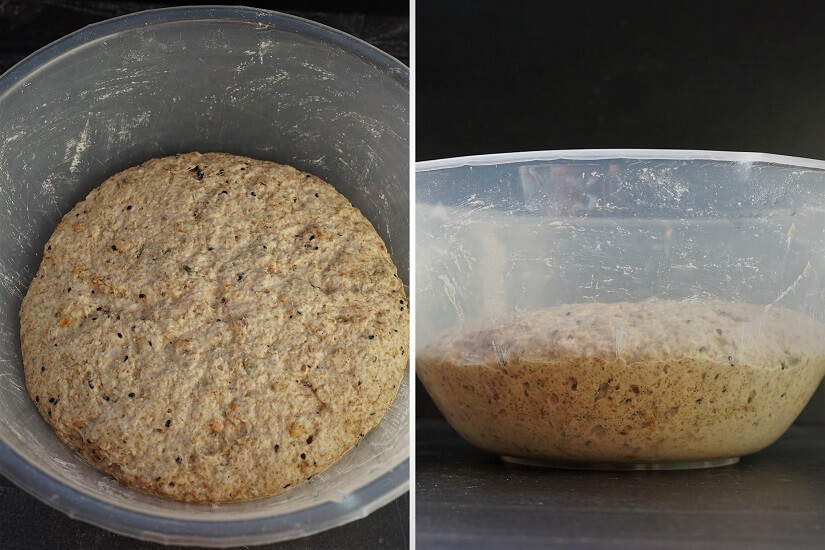 Multigrain Seeded Bread dough