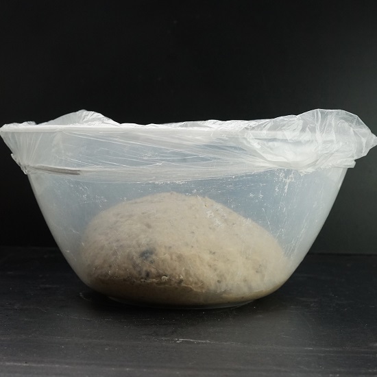 Multigrain Seeded Bread dough