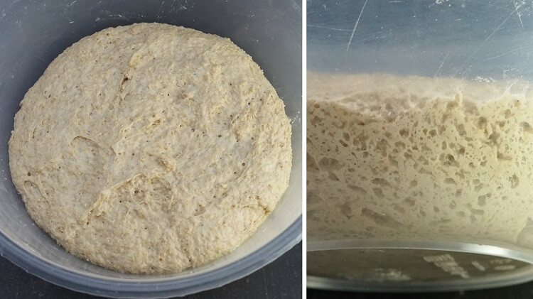 risen dough for Oatmeal Bread