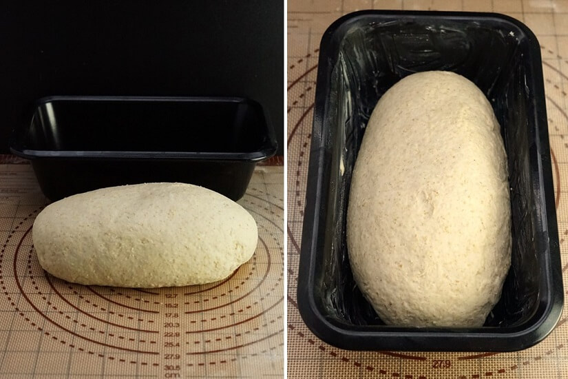 shaped Oatmeal Bread dough