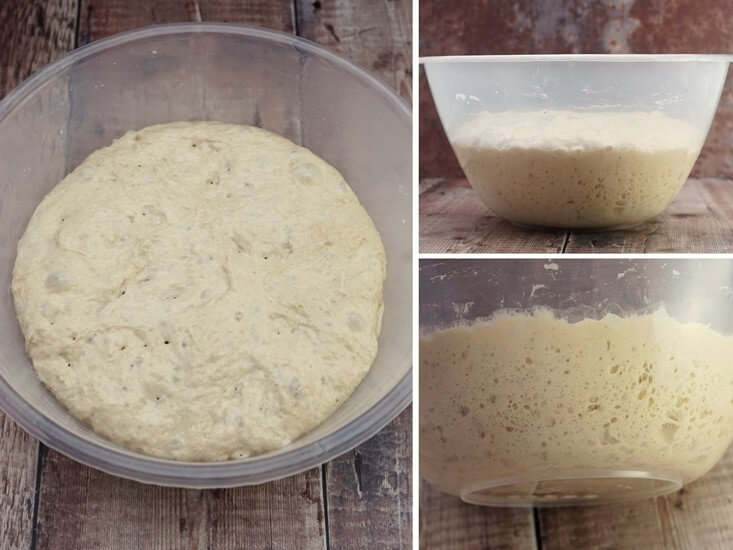 Bloomer Bread dough after overnight fermentation