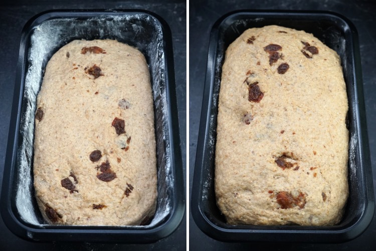second proof of dough for Cinnamon Raisin Oat Bread