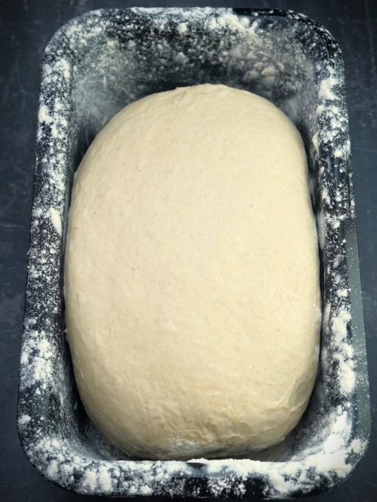 Simple White Bread or Split Tin Loaf at the start of its second proof