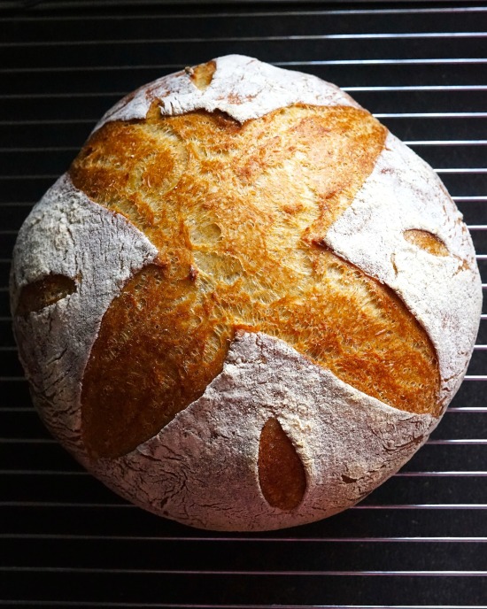 cooling Crusty Potato Bread