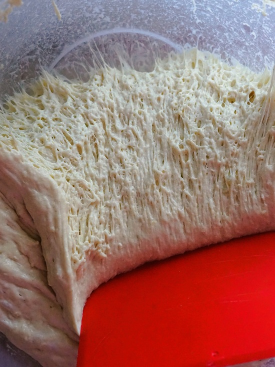 the network of gluten strands developed in overnight fermented dough for Crusty Potato Bread the network of gluten strands developed in overnight fermented dough for Crusty Potato Bread