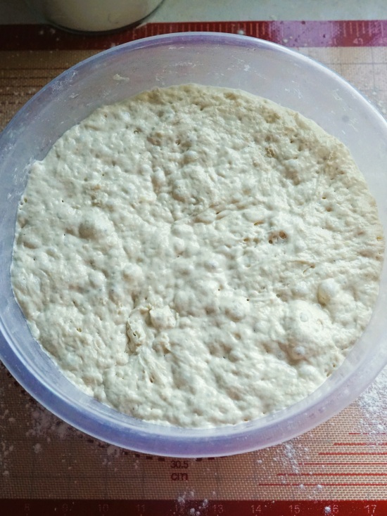 overnight fermented dough for Crusty Potato Bread