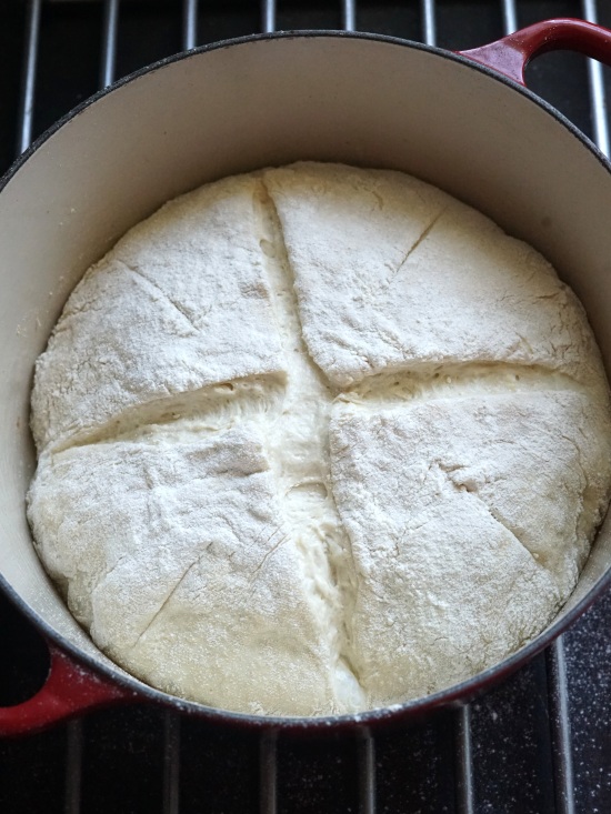 Crusty Potato Bread ready to bake Crusty Potato Bread ready to bake
