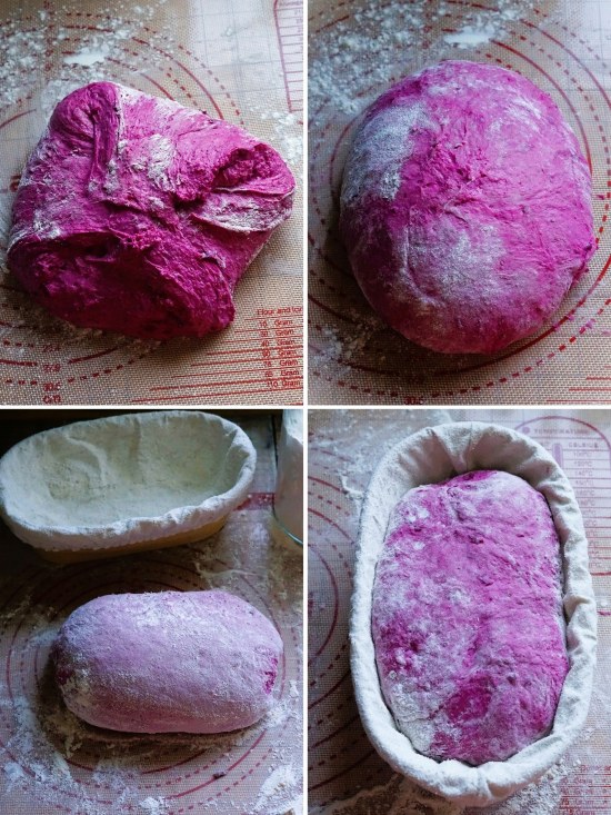 shaping the dough for Beetroot Bread