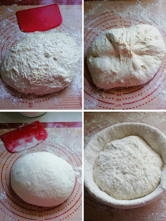shaping the dough for Crusty Potato Bread