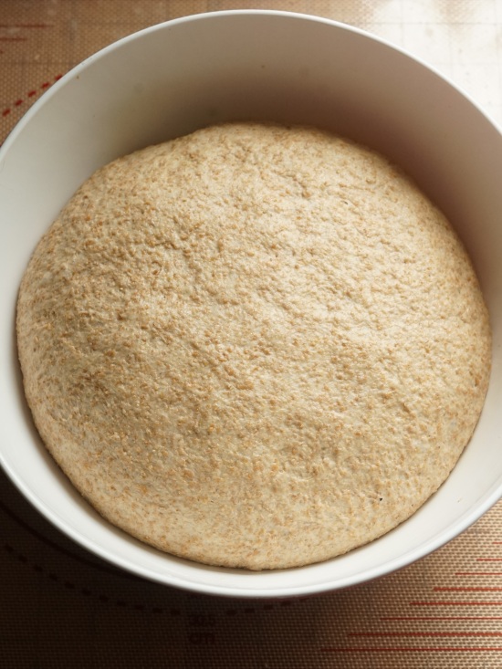 fermented dough for Simple Wholemeal Bread