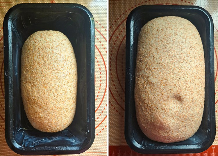 proving dough for Simple Wholemeal Bread