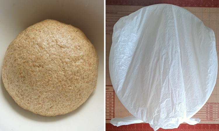 fermenting dough for Simple Wholemeal Bread