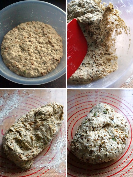 shaping the fermented dough for Seeded Malthouse Loaf