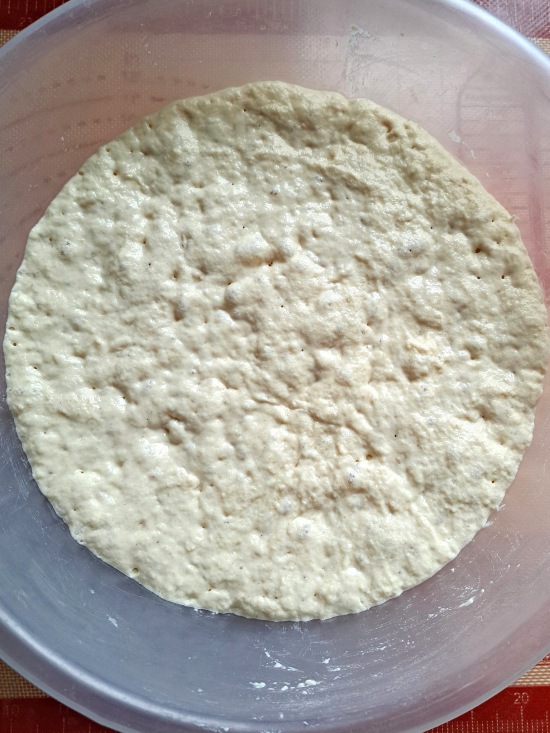 overnight fermented dough for Rustic Bread Rolls