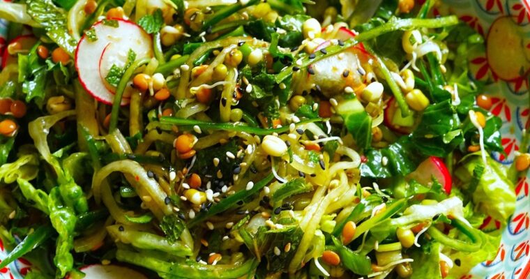 Vegetable and Bean Sprout Salad
