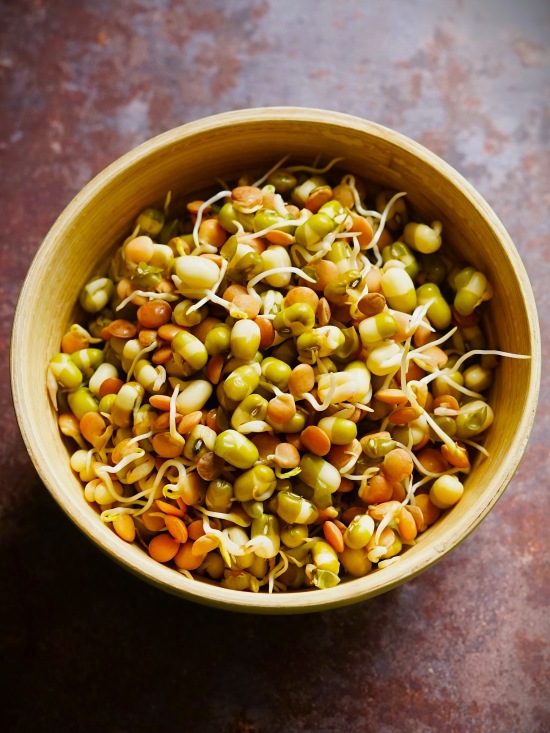 sprouted beans and lentils