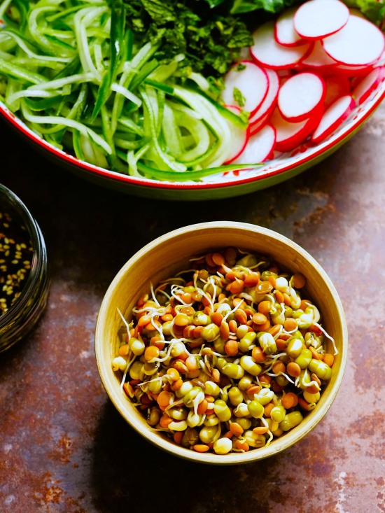 ingredients for Vegetable and Bean Sprout Salad