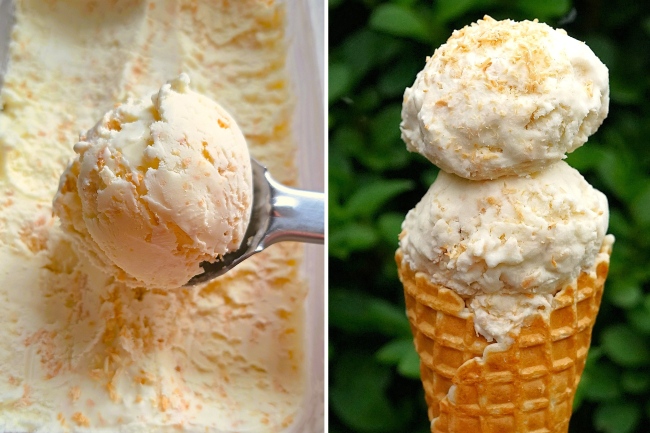 Toasted Coconut Ice Cream