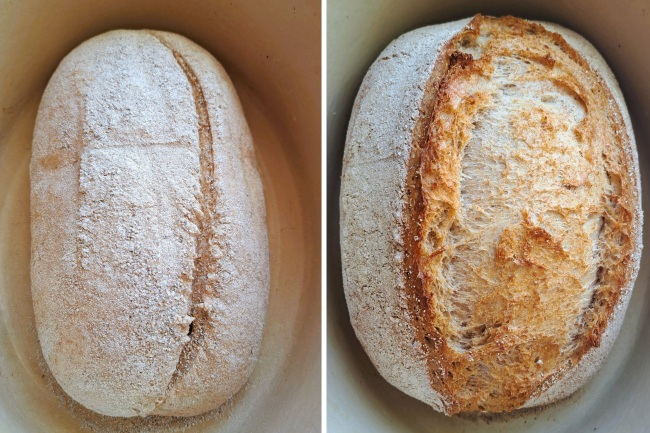 baking Light Spelt, Wholemeal & Rye Loaf baking Light Spelt, Wholemeal & Rye Loaf