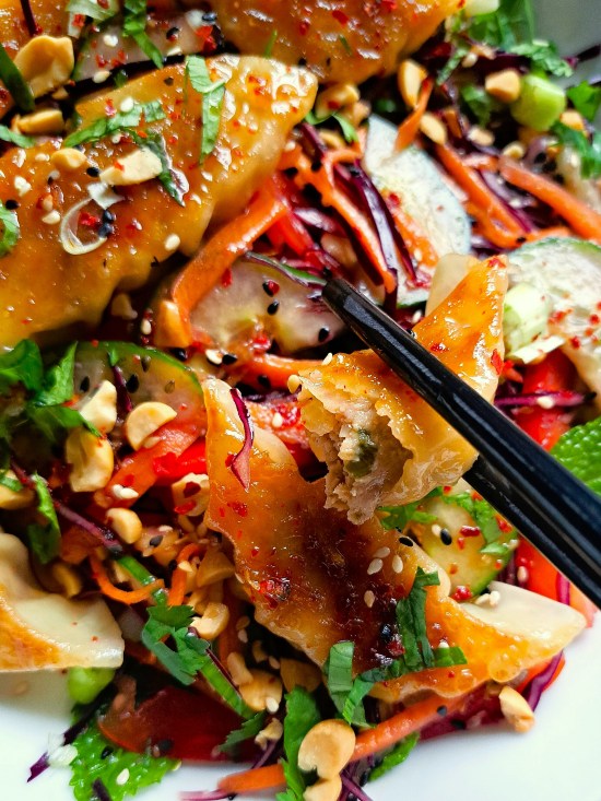 Crispy Dumpling Salad